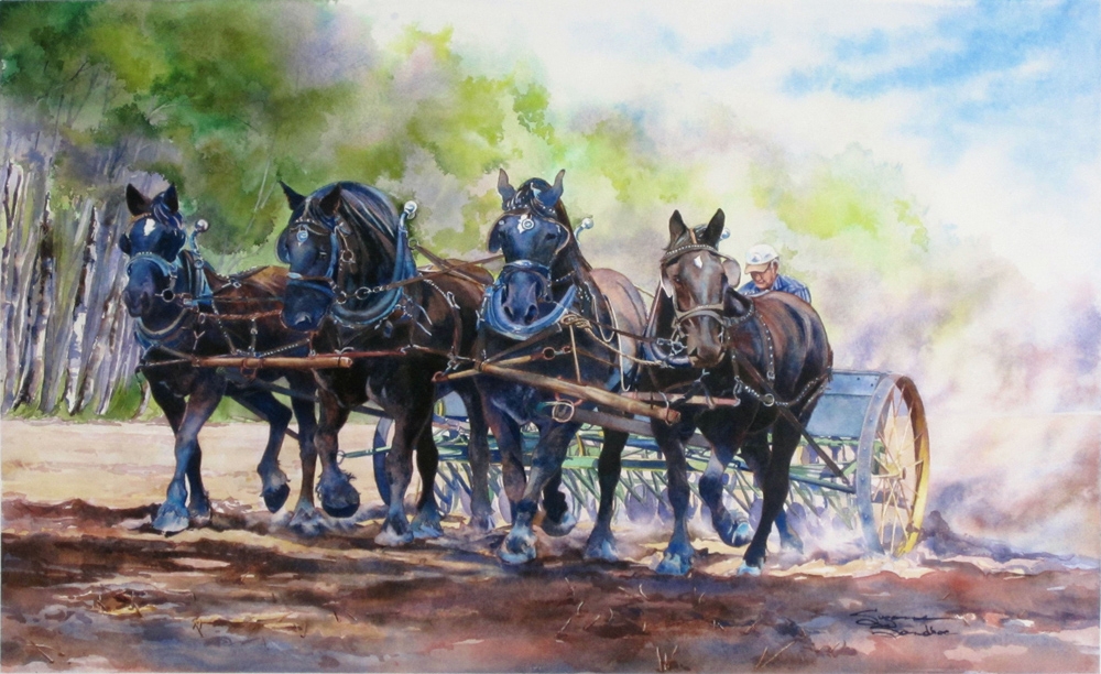 Four-Up, Ace, King, Gypsy and Ginger, 16x26.5, Watercolor, 2011 - 