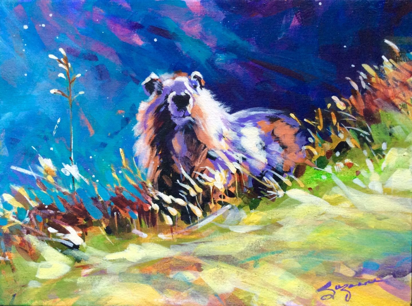 Marmot #1, 12x16, Acrylic, 2017 - 