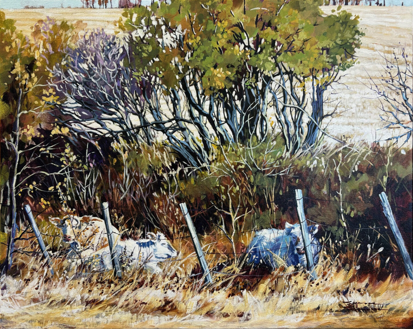 Afternoon-Siesta, 24x30, Acrylic, 2024, Suzanne Sandboe - 