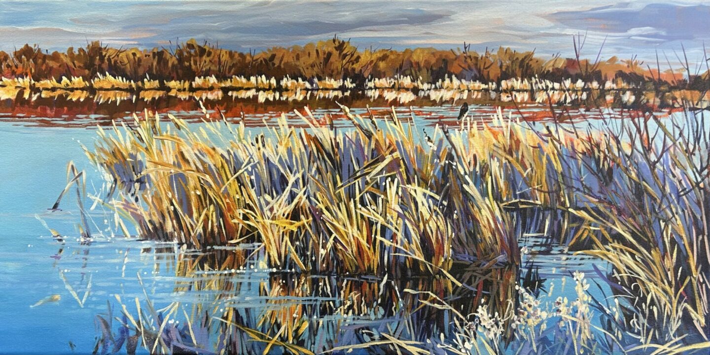 Song Of the Redwing Blackbird, 16x32, Acrylic, 2024, Suzanne Sandboe - 