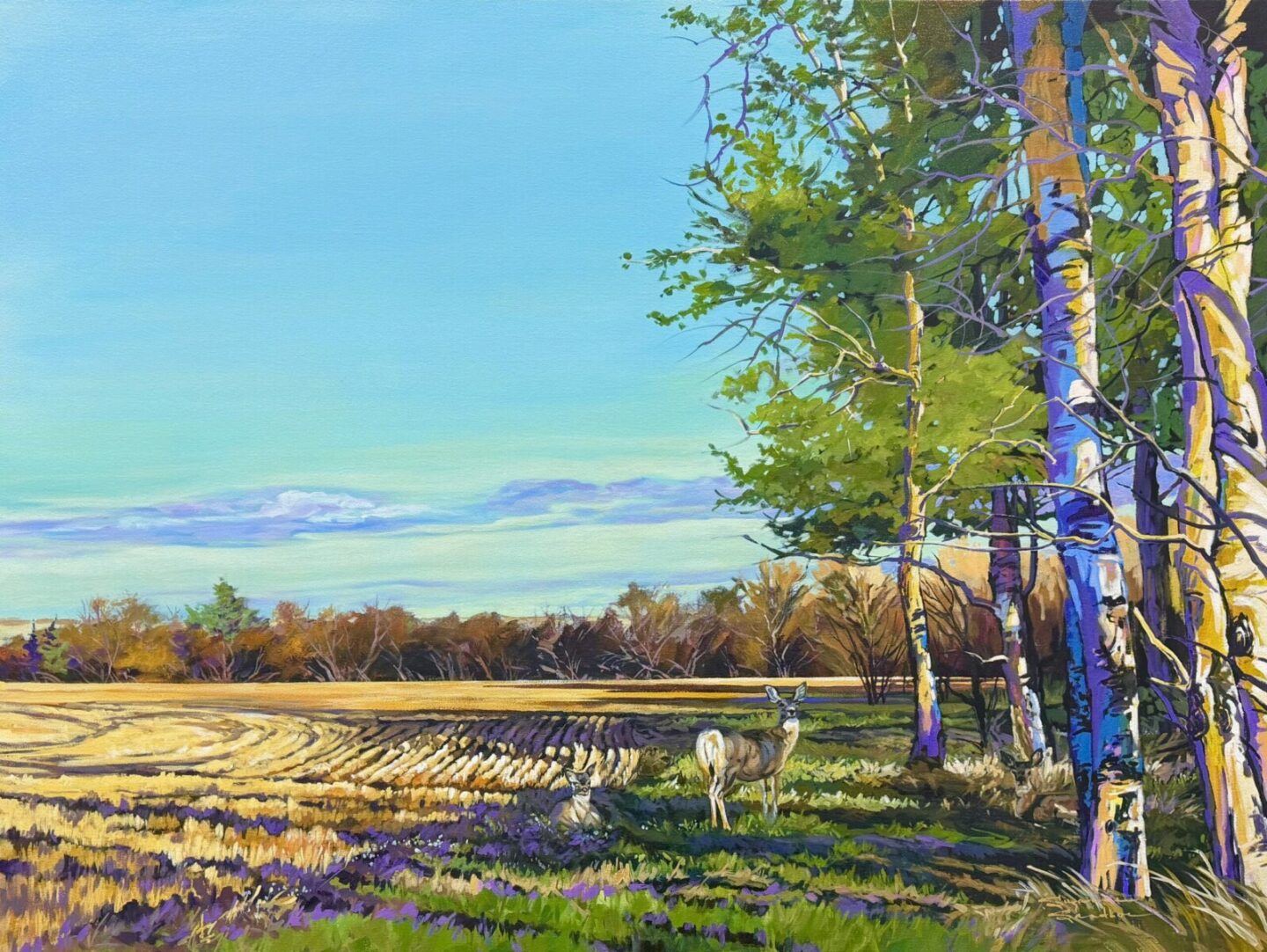 IN THE SHADOWS, 36x48, ACRYLIC, 2026, SUZANNE SANDBOE - 