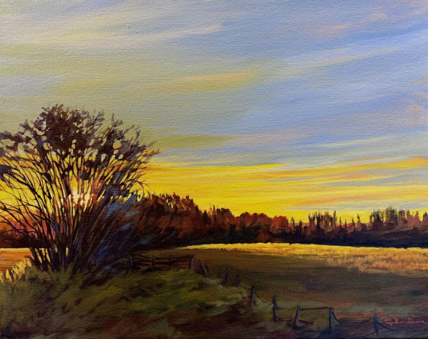 SUNRISE, 16X20, ACRYLIC, 2025, SUZANNE SANDBOE - 